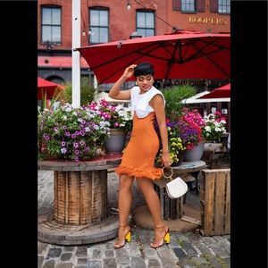 NEW Hanifa Corset Skirt